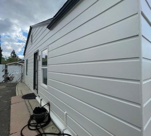 WhatsApp Image 2025-03-14 at 17.48.15